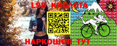 скорость Гусев