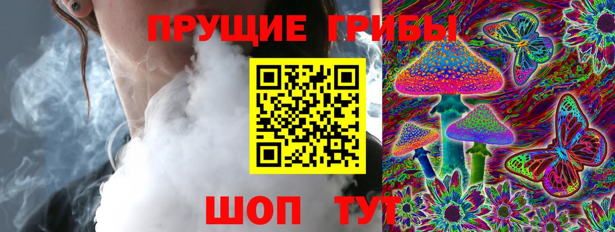 Галлюциногенные грибы Cubensis  Вход с VPN  Лесной  Галлюциногенные грибы мицелий 