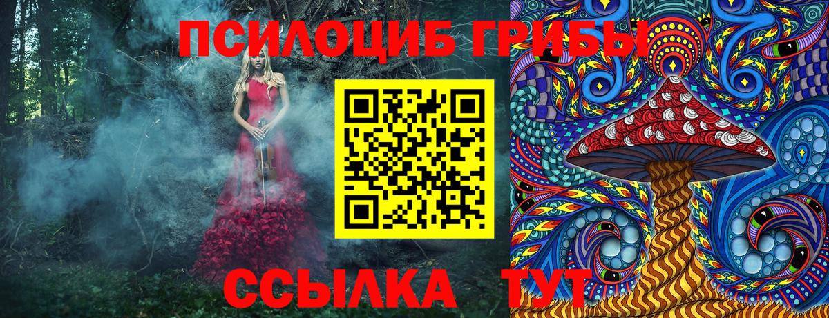 Псилоцибиновые грибы мицелий Лесной